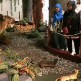 Sekitar Lawatan